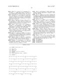 ENGINEERING OF IMMUNOGLOBULIN DOMAINS diagram and image