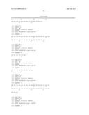 ENGINEERING OF IMMUNOGLOBULIN DOMAINS diagram and image