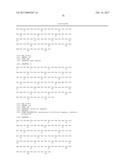 Endoglin Antibodies diagram and image