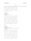 Endoglin Antibodies diagram and image