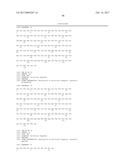 Endoglin Antibodies diagram and image