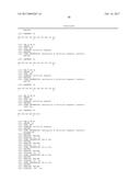 Endoglin Antibodies diagram and image