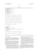 Endoglin Antibodies diagram and image