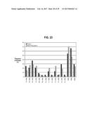 Endoglin Antibodies diagram and image