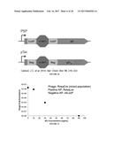 EVOLUTION OF SITE-SPECIFIC RECOMBINASES diagram and image