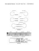 EVOLUTION OF SITE-SPECIFIC RECOMBINASES diagram and image