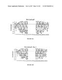 EVOLUTION OF SITE-SPECIFIC RECOMBINASES diagram and image