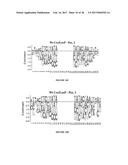 EVOLUTION OF SITE-SPECIFIC RECOMBINASES diagram and image