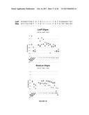 EVOLUTION OF SITE-SPECIFIC RECOMBINASES diagram and image