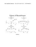 EVOLUTION OF SITE-SPECIFIC RECOMBINASES diagram and image