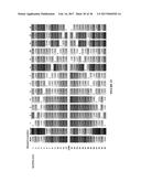 EVOLUTION OF SITE-SPECIFIC RECOMBINASES diagram and image