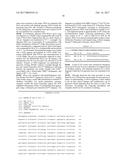 PRECISION GENE TARGETING TO A PARTICULAR LOCUS IN MAIZE diagram and image