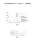 METHODS AND COMPOSITIONS FOR CELL-PROLIFERATION-RELATED DISORDERS diagram and image