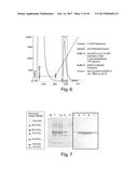 METHODS AND COMPOSITIONS FOR CELL-PROLIFERATION-RELATED DISORDERS diagram and image