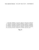 METHODS AND COMPOSITIONS FOR CELL-PROLIFERATION-RELATED DISORDERS diagram and image