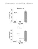 METHODS AND COMPOSITIONS FOR CELL-PROLIFERATION-RELATED DISORDERS diagram and image