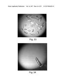 METHODS AND COMPOSITIONS FOR CELL-PROLIFERATION-RELATED DISORDERS diagram and image