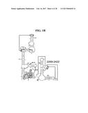 Methods For Rapid Identification Of Pathogens In Humans And Animals diagram and image