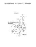 Methods For Rapid Identification Of Pathogens In Humans And Animals diagram and image