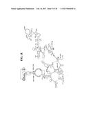 Methods For Rapid Identification Of Pathogens In Humans And Animals diagram and image