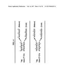 Methods For Rapid Identification Of Pathogens In Humans And Animals diagram and image