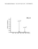 Methods For Rapid Identification Of Pathogens In Humans And Animals diagram and image