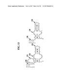 Methods For Rapid Identification Of Pathogens In Humans And Animals diagram and image