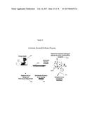 Methods For Rapid Identification Of Pathogens In Humans And Animals diagram and image