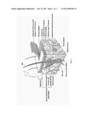 TOPICAL FILM DELIVERY SYSTEM diagram and image