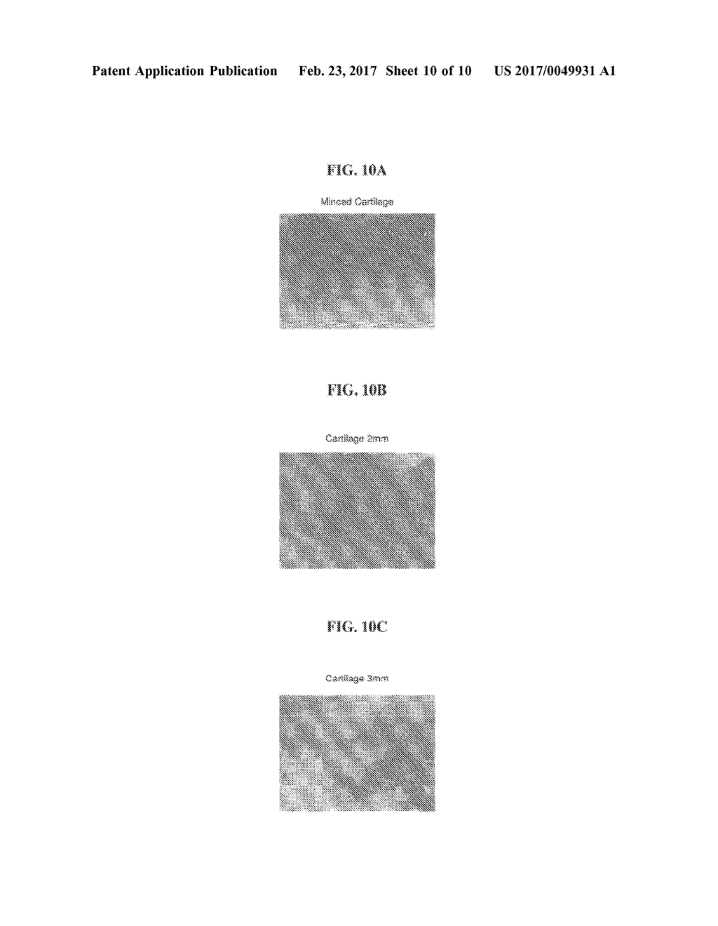 Biocompatible Scaffolds with Tissue Fragments - diagram, schematic, and image 11