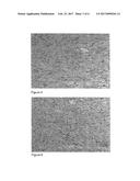 PROCESS FOR PRODUCING SHAPED REFRACTORY METAL BODIES diagram and image