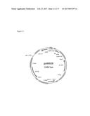 PRODUCTION OF MODIFIED FATTY ACIDS IN PLANTS THROUGH rDNA TARGETED     INTEGRATION OF HETEROLOGOUS GENES diagram and image