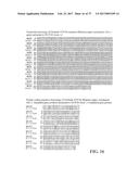 PRODUCTION OF MODIFIED FATTY ACIDS IN PLANTS THROUGH rDNA TARGETED     INTEGRATION OF HETEROLOGOUS GENES diagram and image