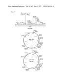 PRODUCTION OF MODIFIED FATTY ACIDS IN PLANTS THROUGH rDNA TARGETED     INTEGRATION OF HETEROLOGOUS GENES diagram and image