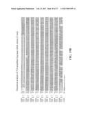 PRODUCTION OF MODIFIED FATTY ACIDS IN PLANTS THROUGH rDNA TARGETED     INTEGRATION OF HETEROLOGOUS GENES diagram and image