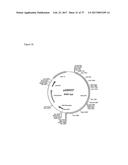 PRODUCTION OF MODIFIED FATTY ACIDS IN PLANTS THROUGH rDNA TARGETED     INTEGRATION OF HETEROLOGOUS GENES diagram and image