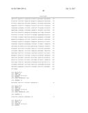 PRODUCTION OF MODIFIED FATTY ACIDS IN PLANTS THROUGH rDNA TARGETED     INTEGRATION OF HETEROLOGOUS GENES diagram and image