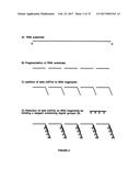 ARRAYS COMPRISING CHIMERIC COMPOSITIONS diagram and image