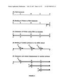 ARRAYS COMPRISING CHIMERIC COMPOSITIONS diagram and image