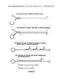 ARRAYS COMPRISING CHIMERIC COMPOSITIONS diagram and image