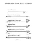 ARRAYS COMPRISING CHIMERIC COMPOSITIONS diagram and image