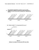 ARRAYS COMPRISING CHIMERIC COMPOSITIONS diagram and image