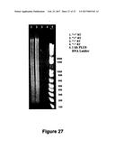 ARRAYS COMPRISING CHIMERIC COMPOSITIONS diagram and image