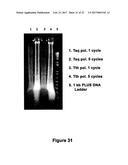 ARRAYS COMPRISING CHIMERIC COMPOSITIONS diagram and image