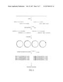 Safe Sequencing System diagram and image