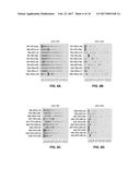 POOLED ADAPTER STRATEGY FOR REDUCING BIAS IN SMALL RNA CHARACTERIZATION diagram and image