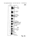Compositions and Methods for Use in Combination for the Treatment and     Diagnosis of Autoimmune Diseases diagram and image