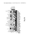 Compositions and Methods for Use in Combination for the Treatment and     Diagnosis of Autoimmune Diseases diagram and image