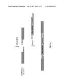 EPIGENETIC MODIFICATION OF MAMMALIAN GENOMES USING TARGETED ENDONUCLEASES diagram and image