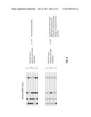 EPIGENETIC MODIFICATION OF MAMMALIAN GENOMES USING TARGETED ENDONUCLEASES diagram and image